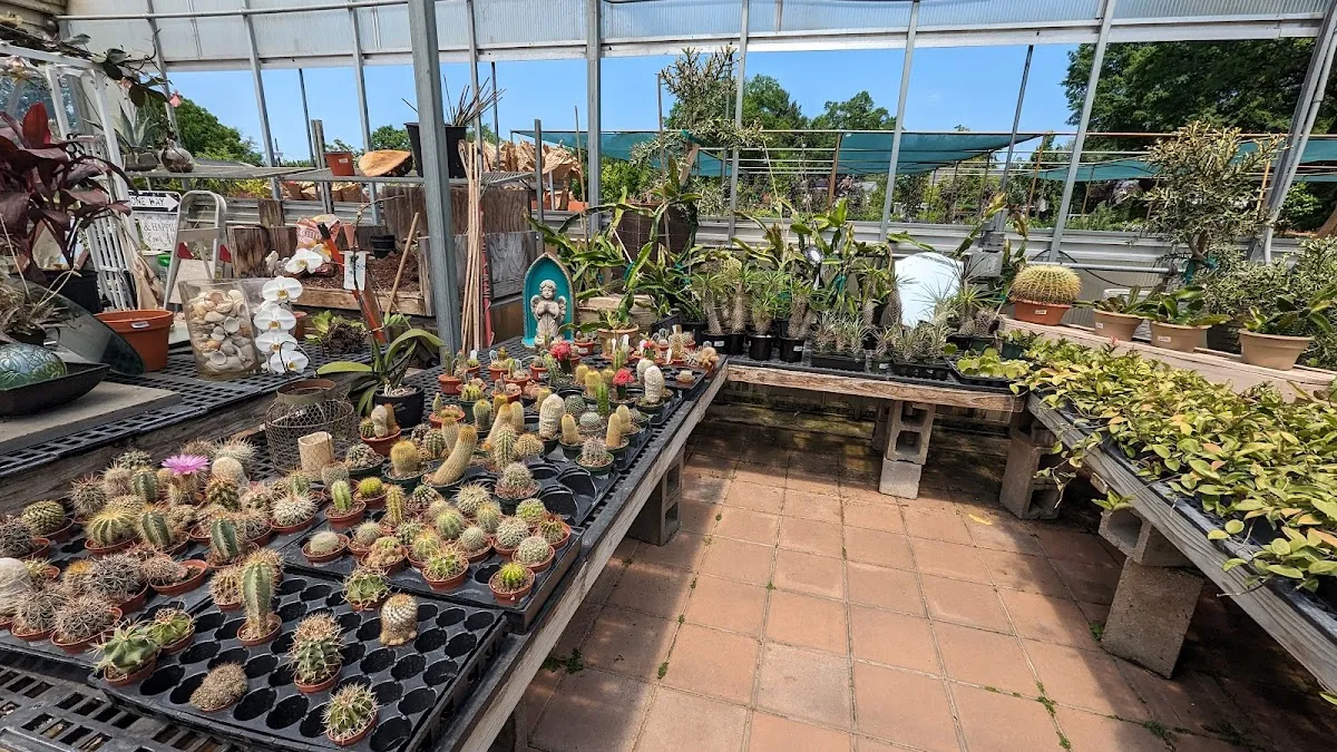 McNaughton's Garden Center and Landscaping photo 5