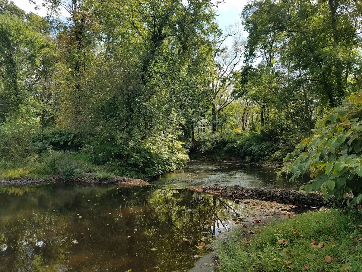 Medford Park / Bunning Field photo 2