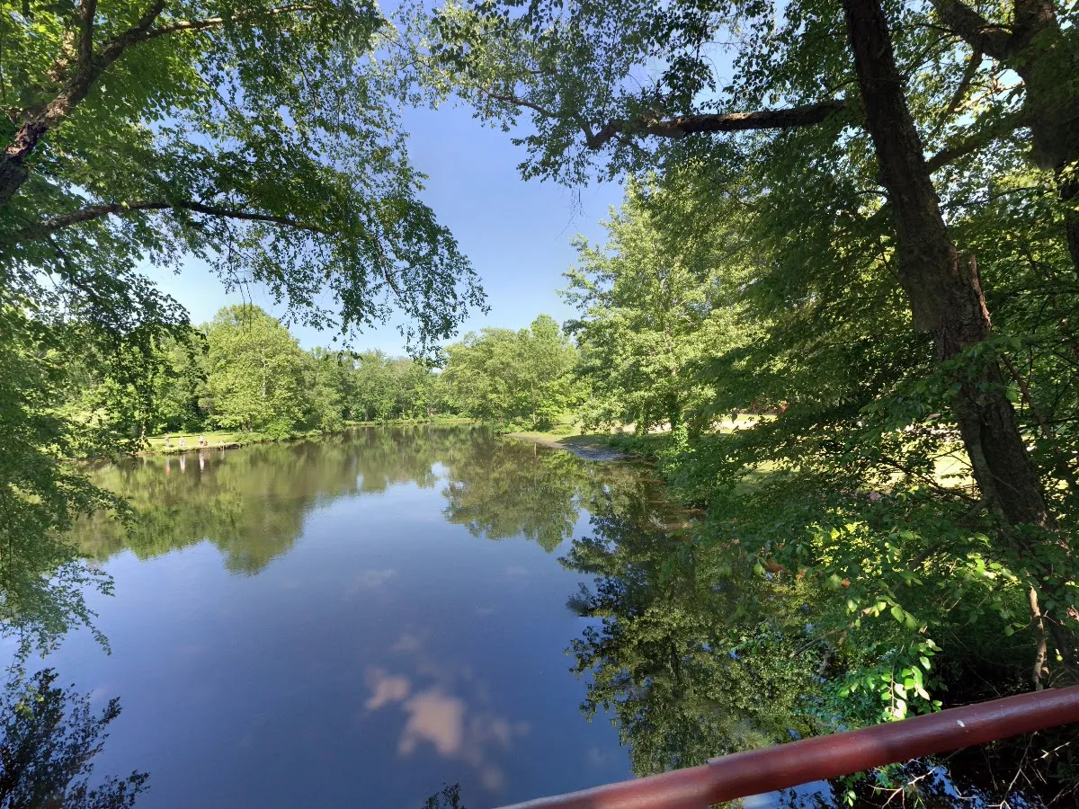 Medford Park / Bunning Field photo 3