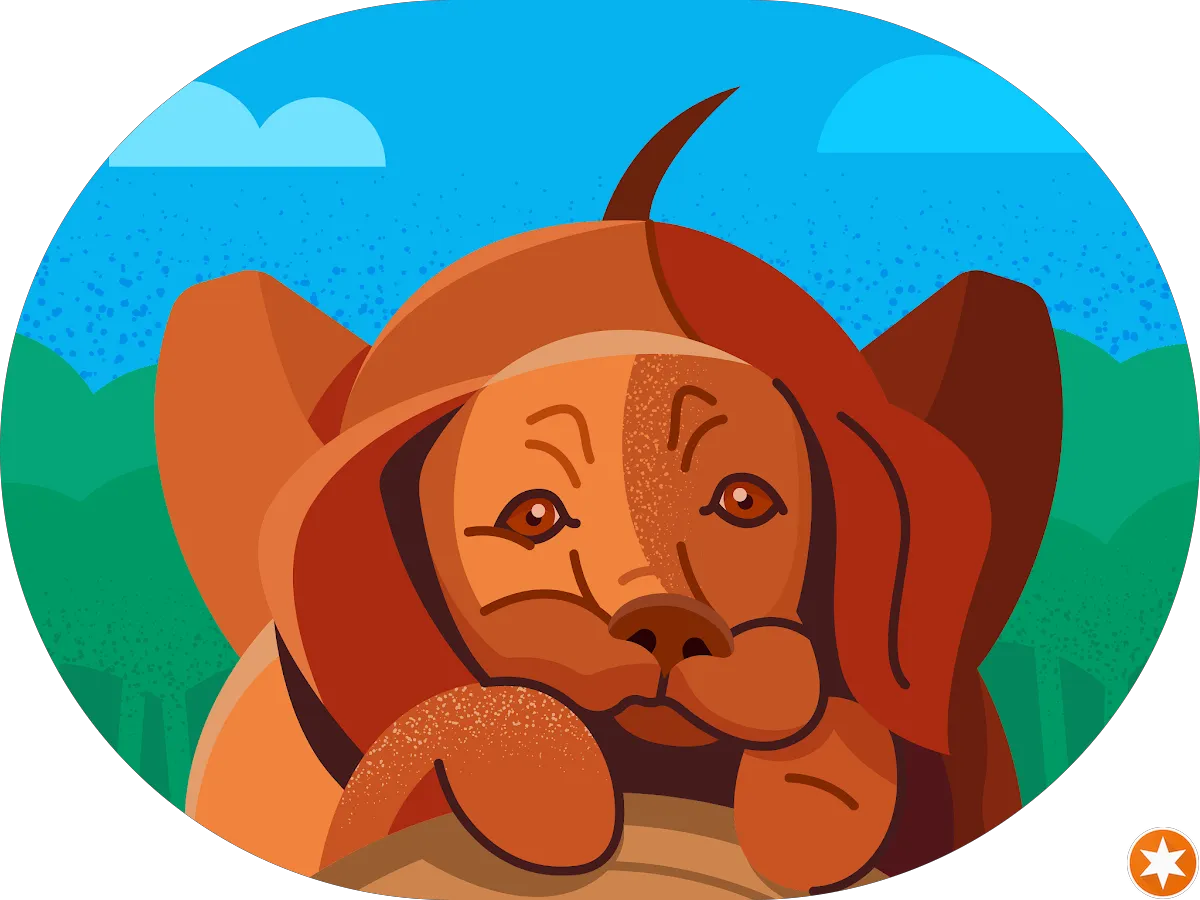 Medical Aesthetic Center photo 5