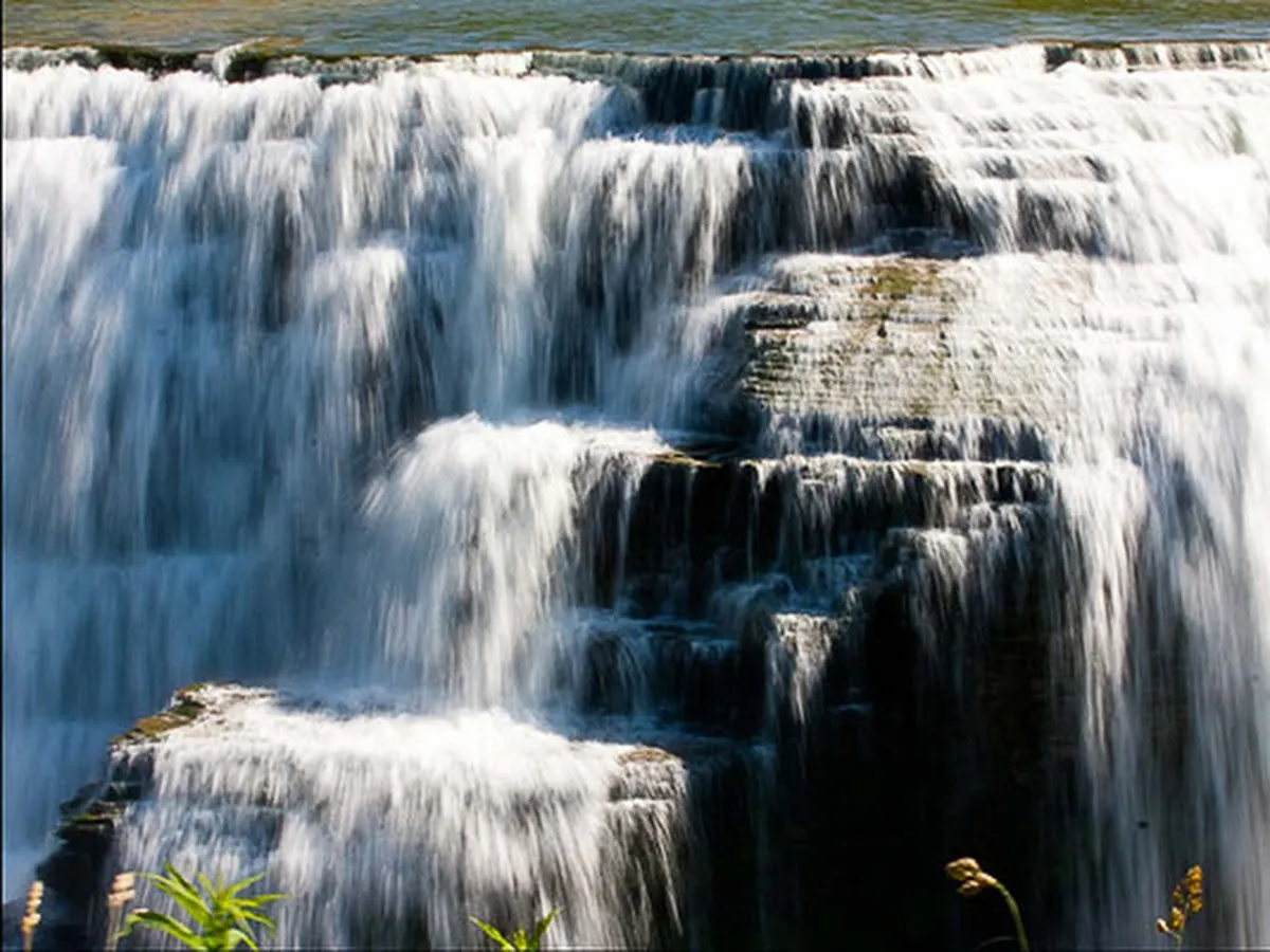 melissa orange photography photo 5