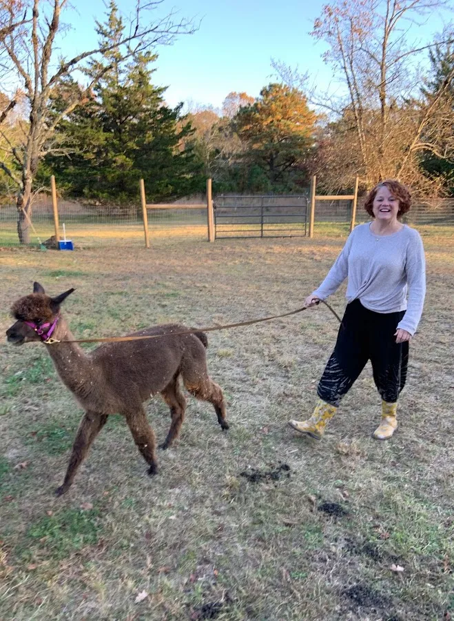 Mending Minds, Healing Hearts