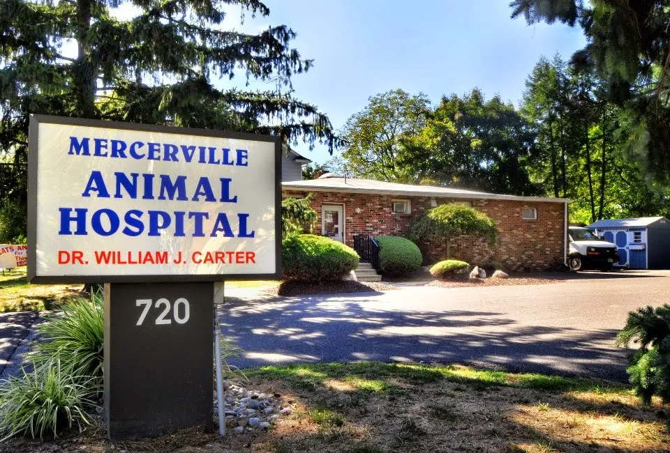 Mercerville Animal Hospital