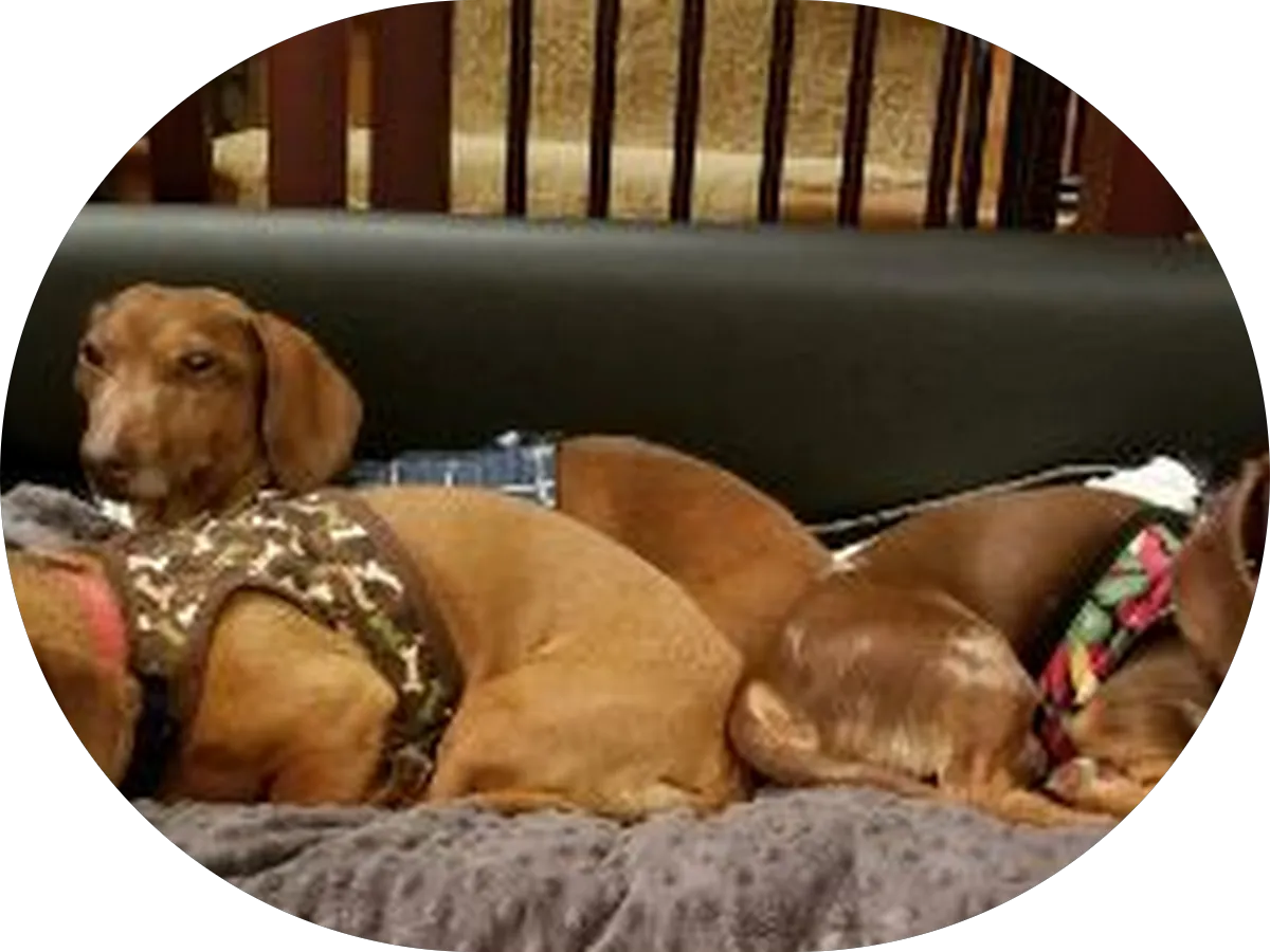 Merchantville Cleaners photo 2