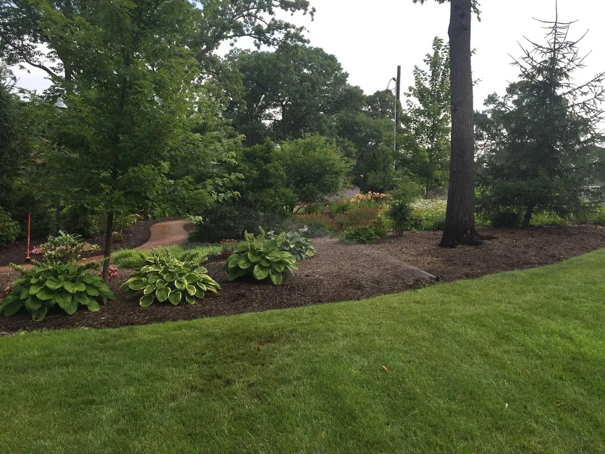 Michael's Landscape & Maintenance LLC