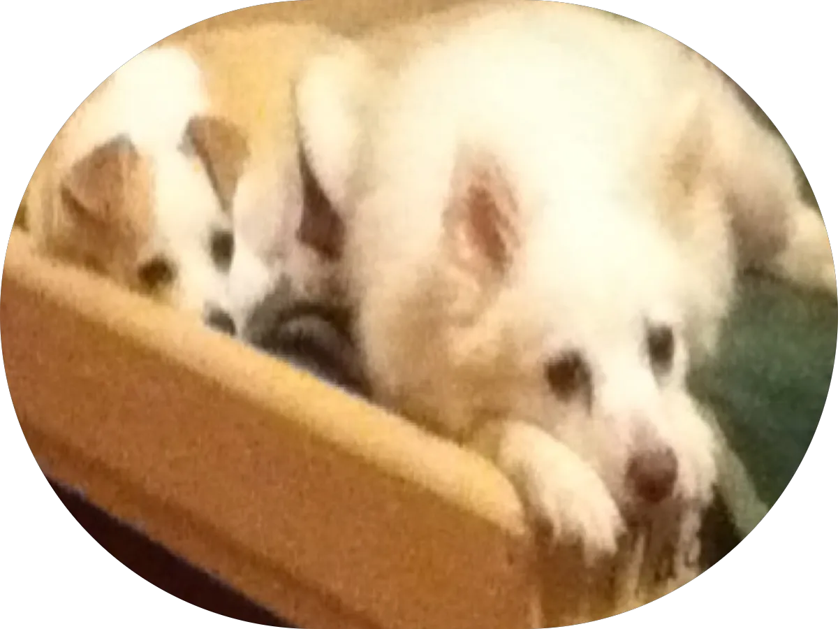 Michelle S. Hunt Psy.D., LCADC photo 2