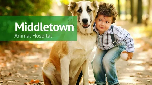Middletown Animal Hospital