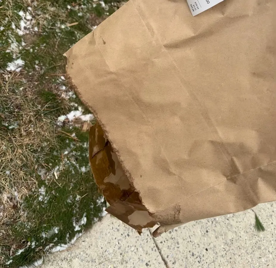 Mikan Sando Sushi Bento photo 5