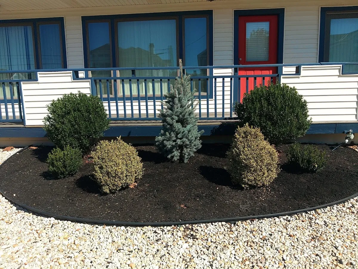 Mike's Landscaping - owner operator