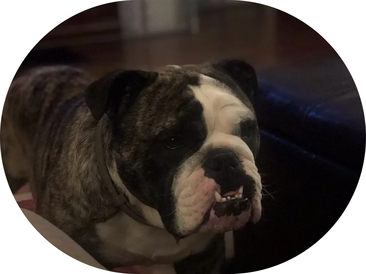 Mike’s Tire & Detailing Shop photo 4