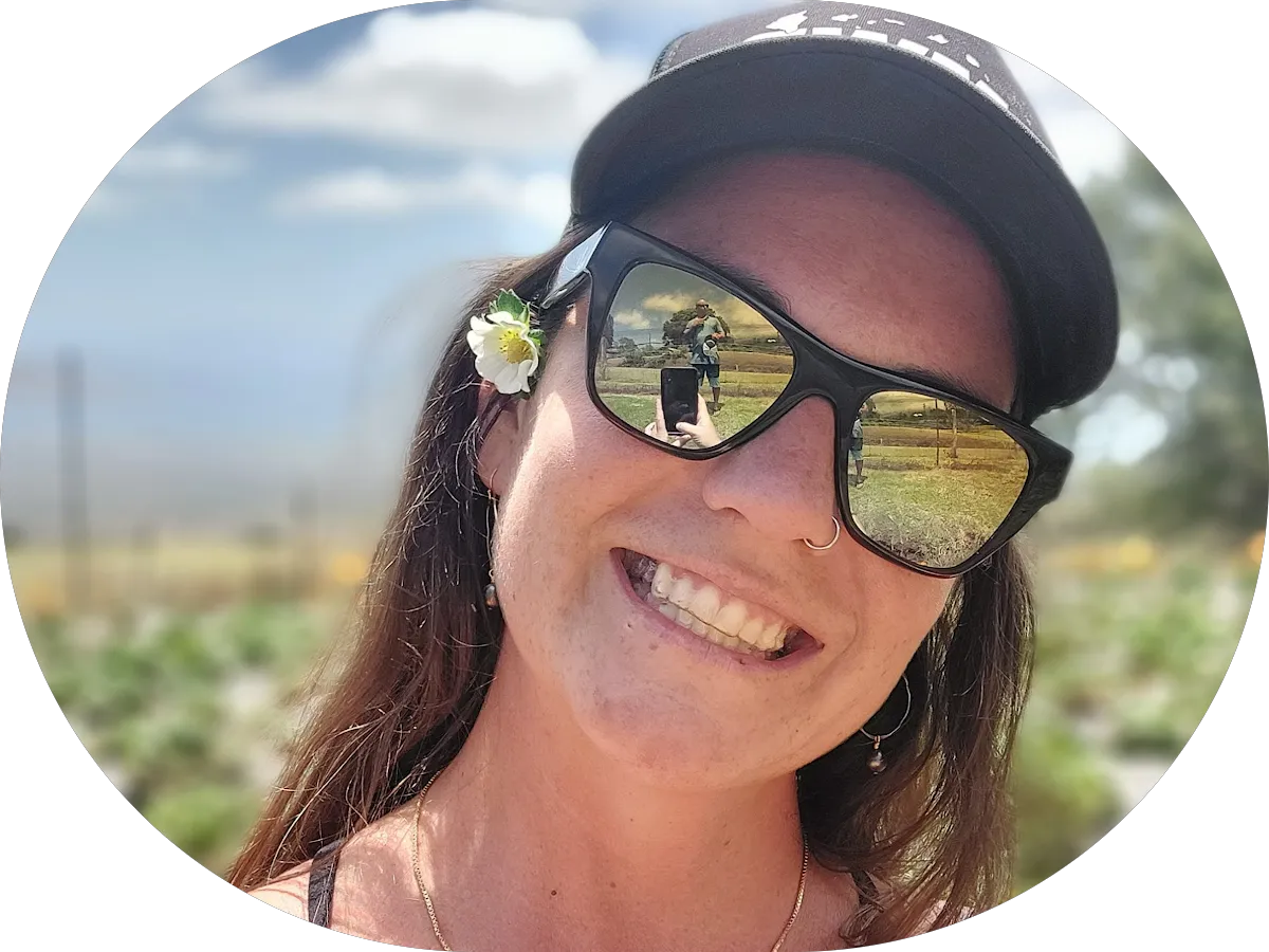 Miles Carpet Cleaning