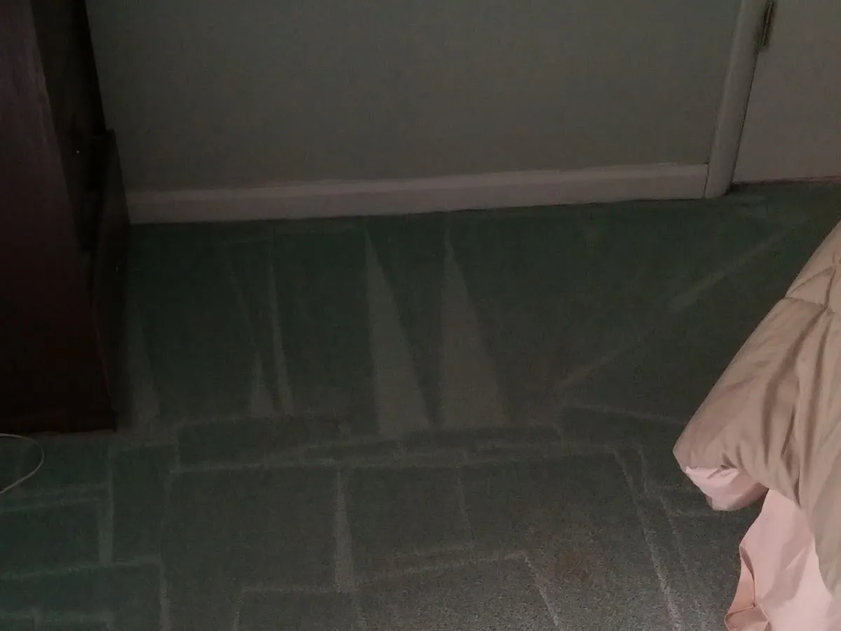 Miles Carpet Cleaning photo 5