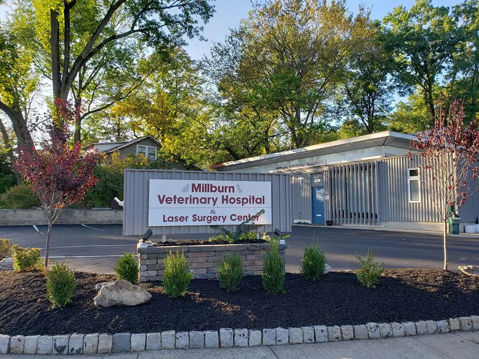 Millburn Veterinary Hospital