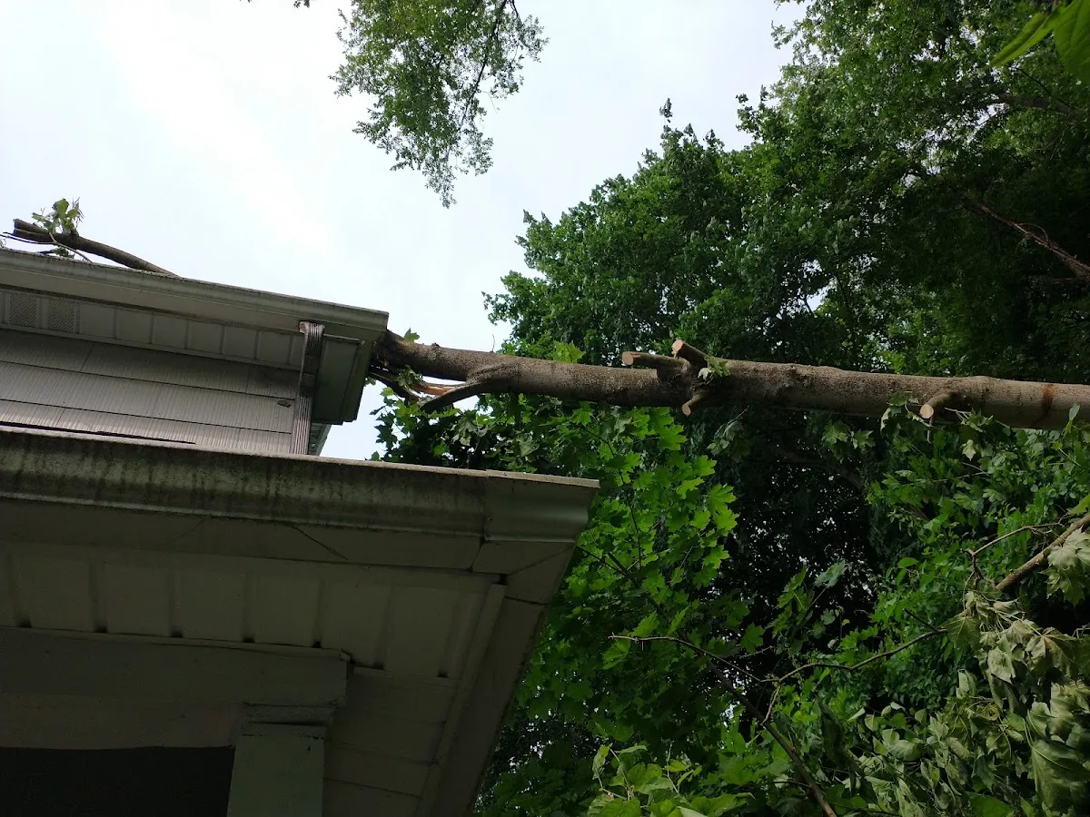 Millville Mutual Insurance Co