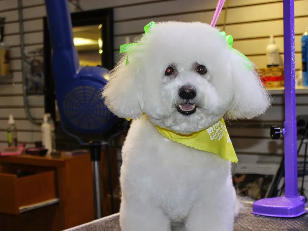 Mimi's VIP Pet Salon & Boutique