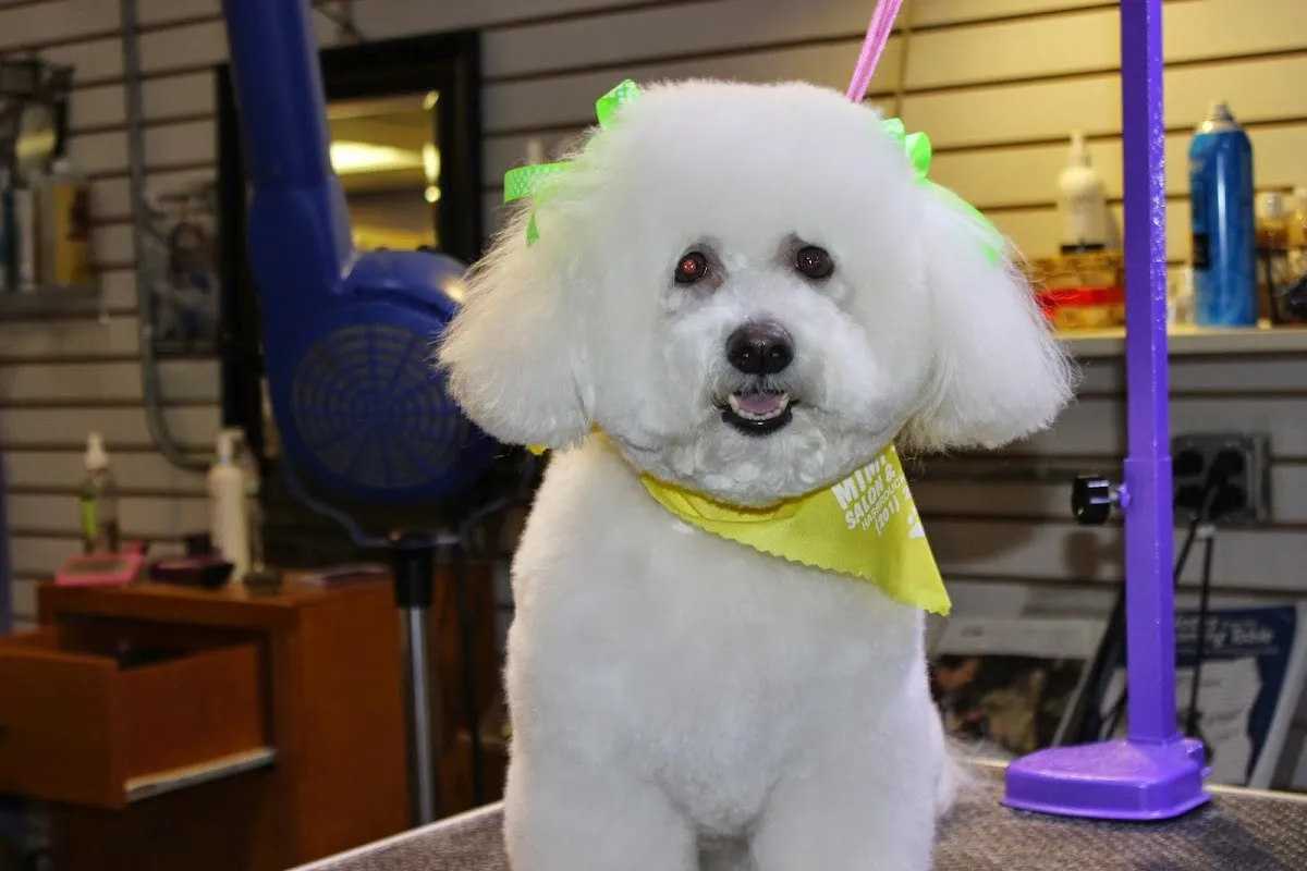 Mimi's VIP Pet Salon & Boutique photo 2