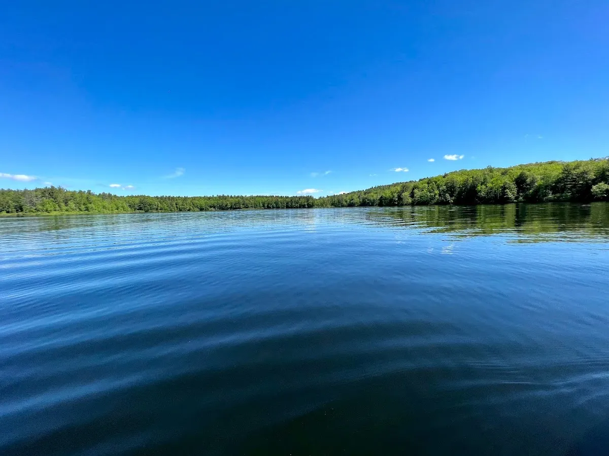 MIRA Team, UNITED REAL ESTATE photo 3