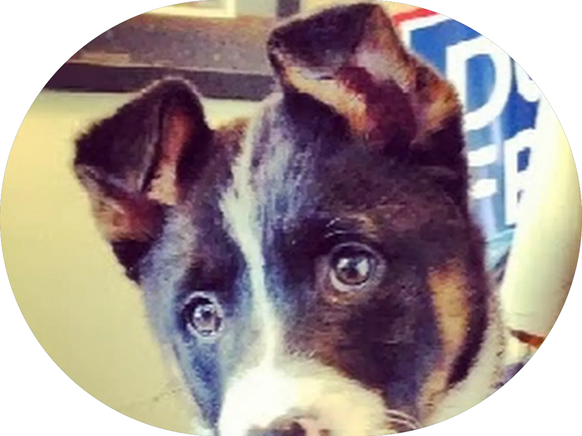 Mission Insurance Agency photo 3