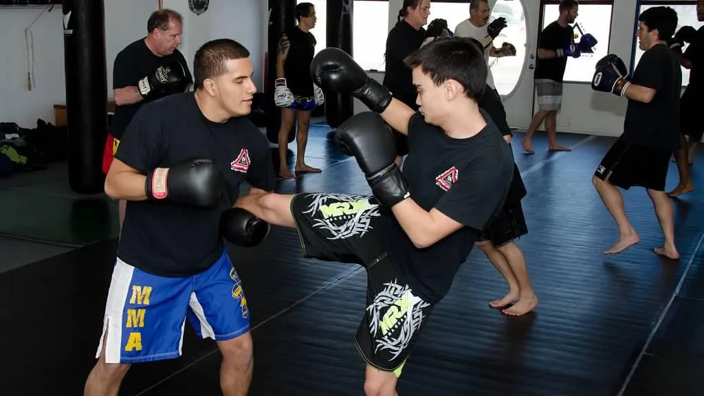 Modern Fighting Concepts