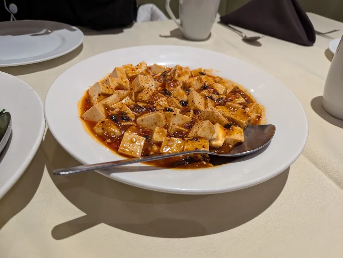 Modern Fusion photo 5