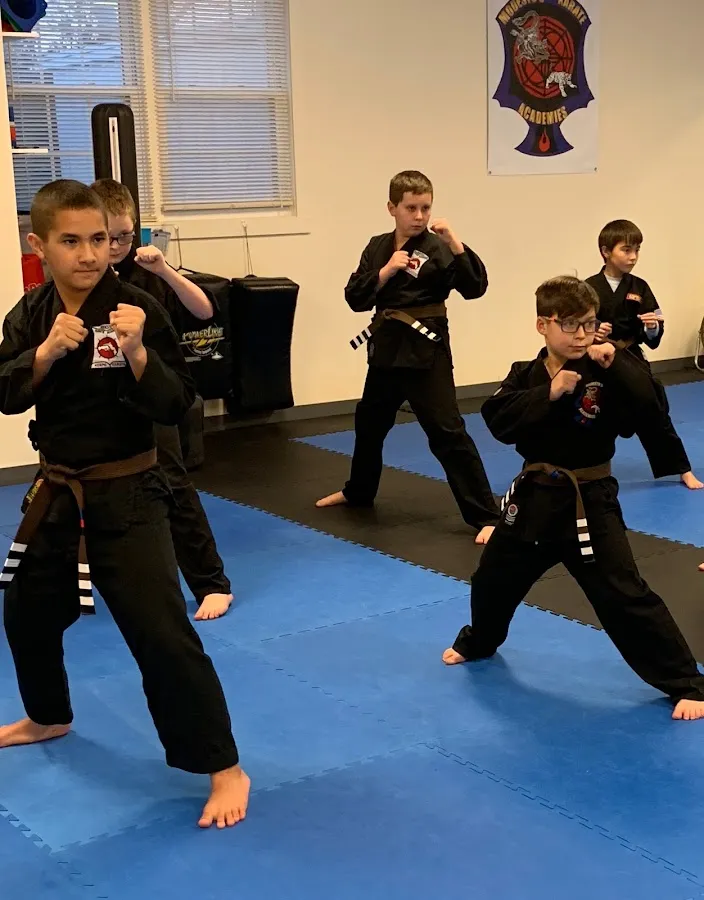 Modesto's Karate Academies