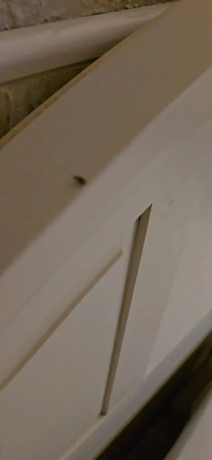 Monaco Motel photo 3