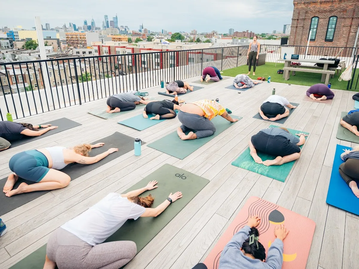 Monarch Yoga - Kensington