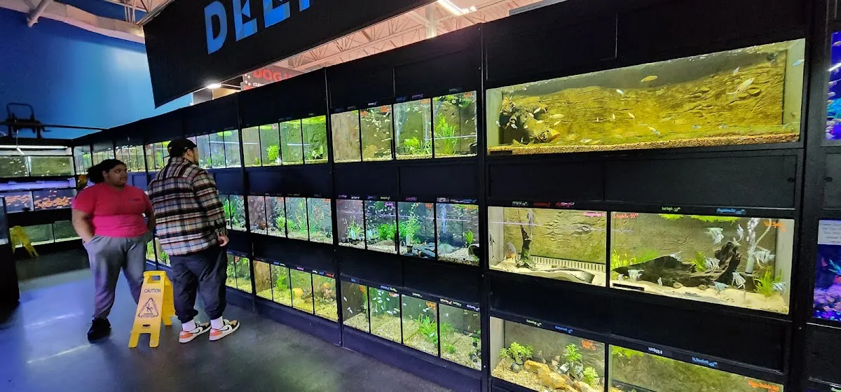 Monster Pets photo 5