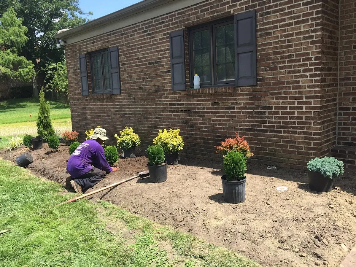 Morgan Landscape & Lawn photo 3