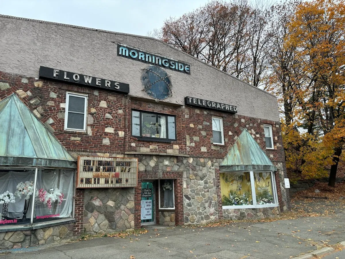 Morningside Greenhouse photo 2