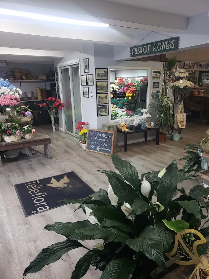 Morningside Greenhouse photo 3