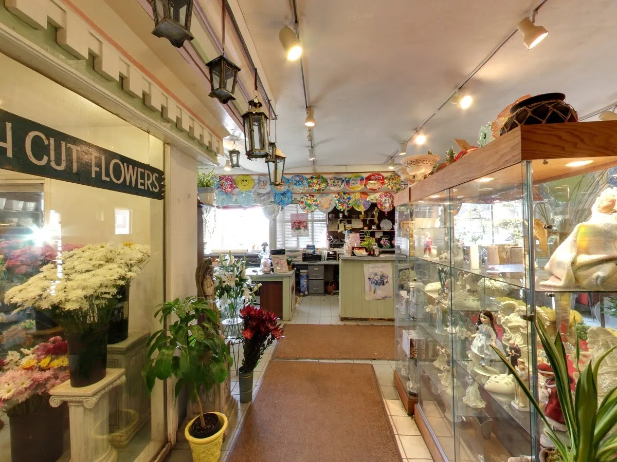 Morningside Greenhouse photo 5