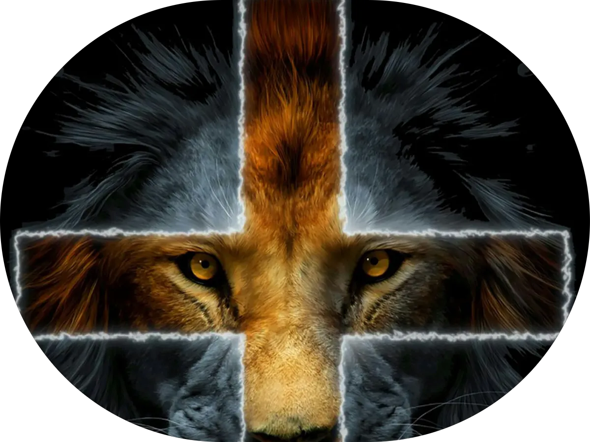 Mountain Laurel Physical Therapy photo 4