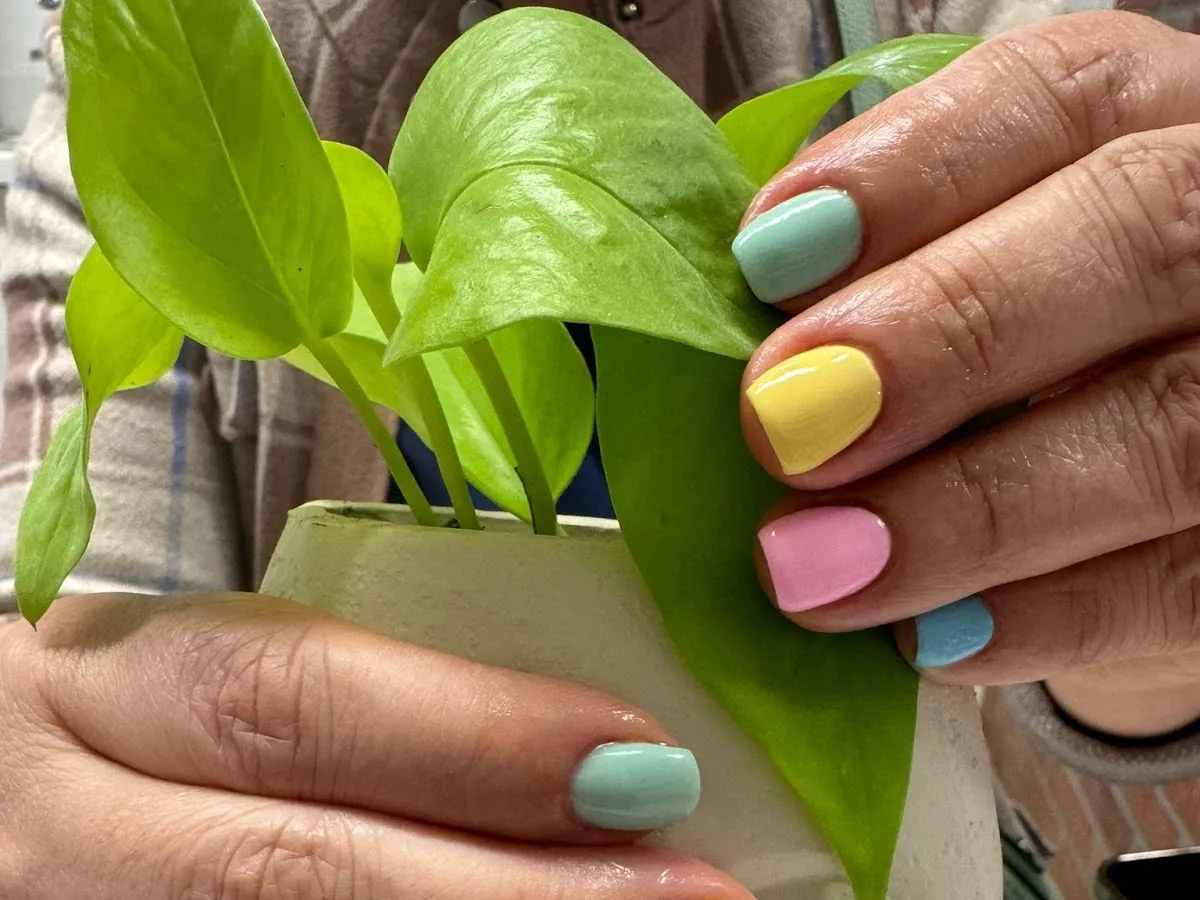 Moxie Salon and Beauty Bar - Englewood, NJ photo 5