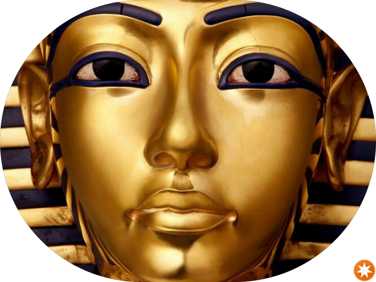 Moyer Pest Control photo 3