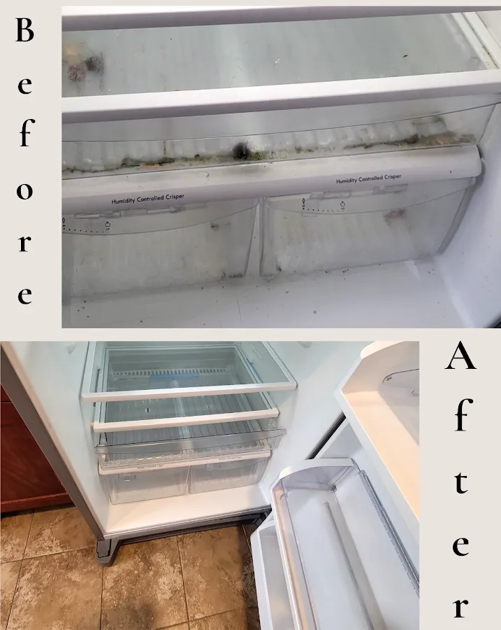 Mr. Clean Cleaning Service LLC