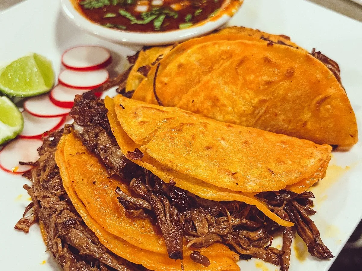 Mr Gordo's Taqueria photo 3