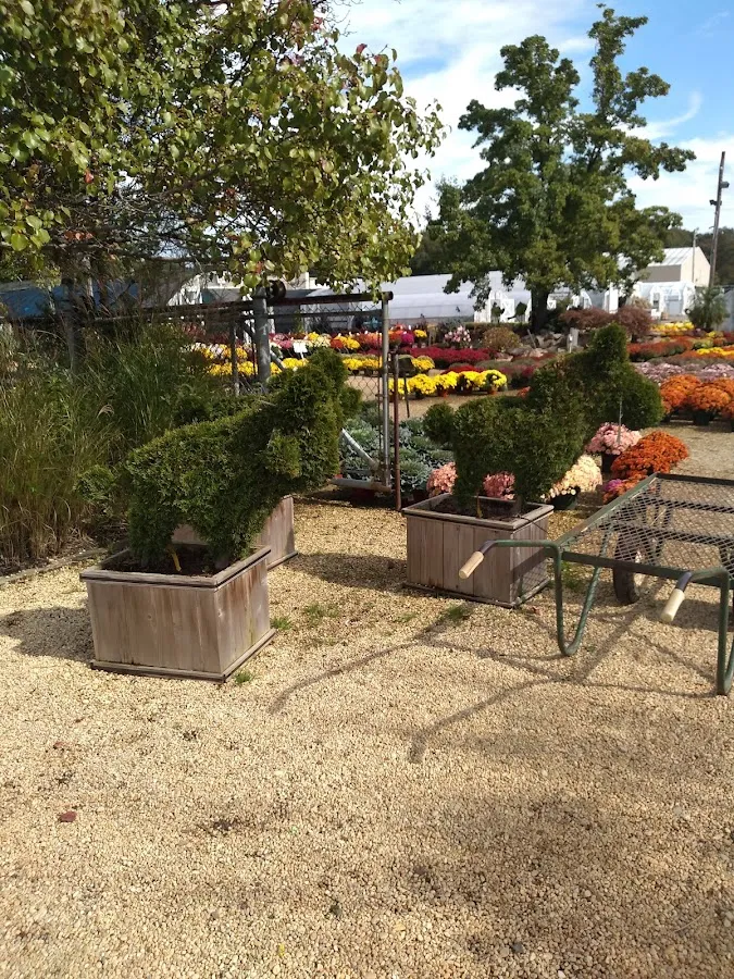 Mr. Green Jeans Inc. photo 2