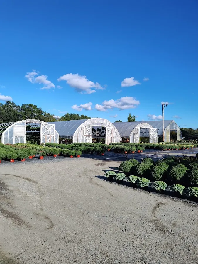 Mr. Green Jeans Inc. photo 3