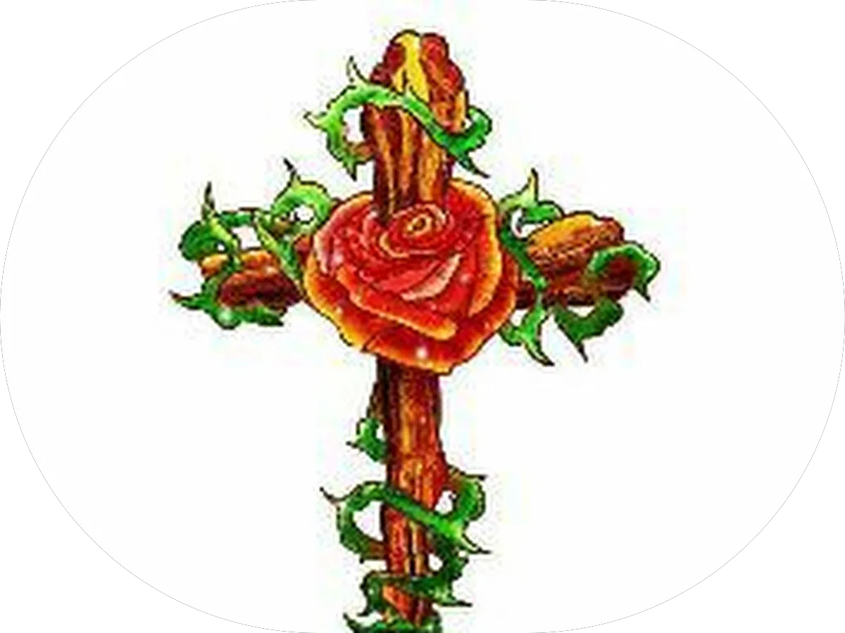 Mr Handymen LLC photo 4