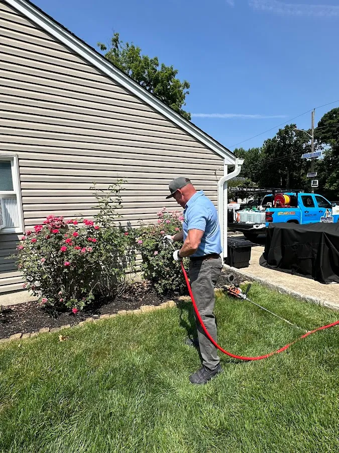 Mrs.Bzzz Pest & Termite Solutions photo 2