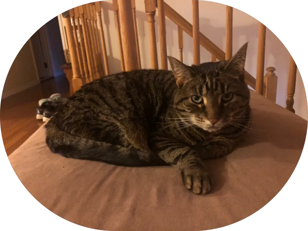 MTM Auto Detailing photo 3