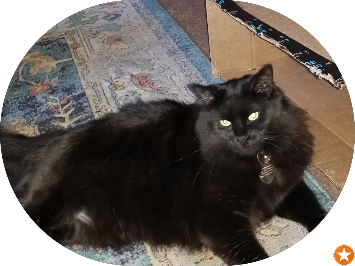 Mulligan's Liquor Store photo 4