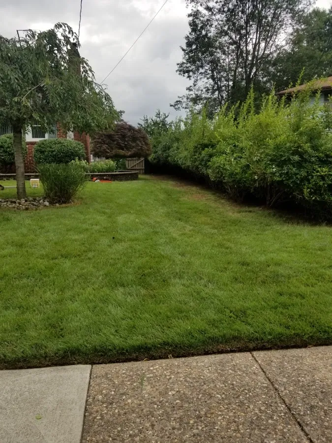 Mum's Landscaping photo 2