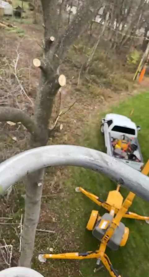 Munz's Landscaping & Construction photo 5