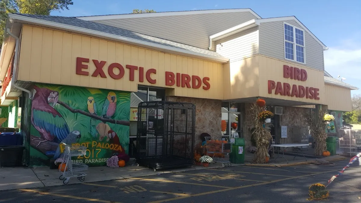 My Bird Store