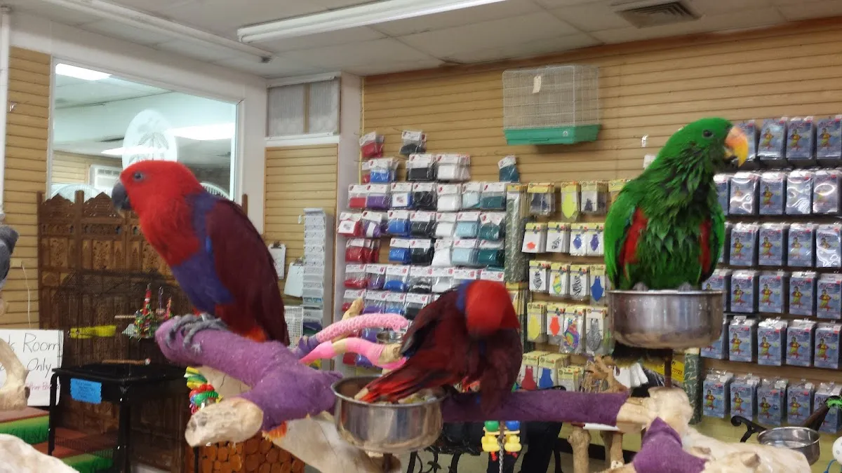 My Bird Store photo 2