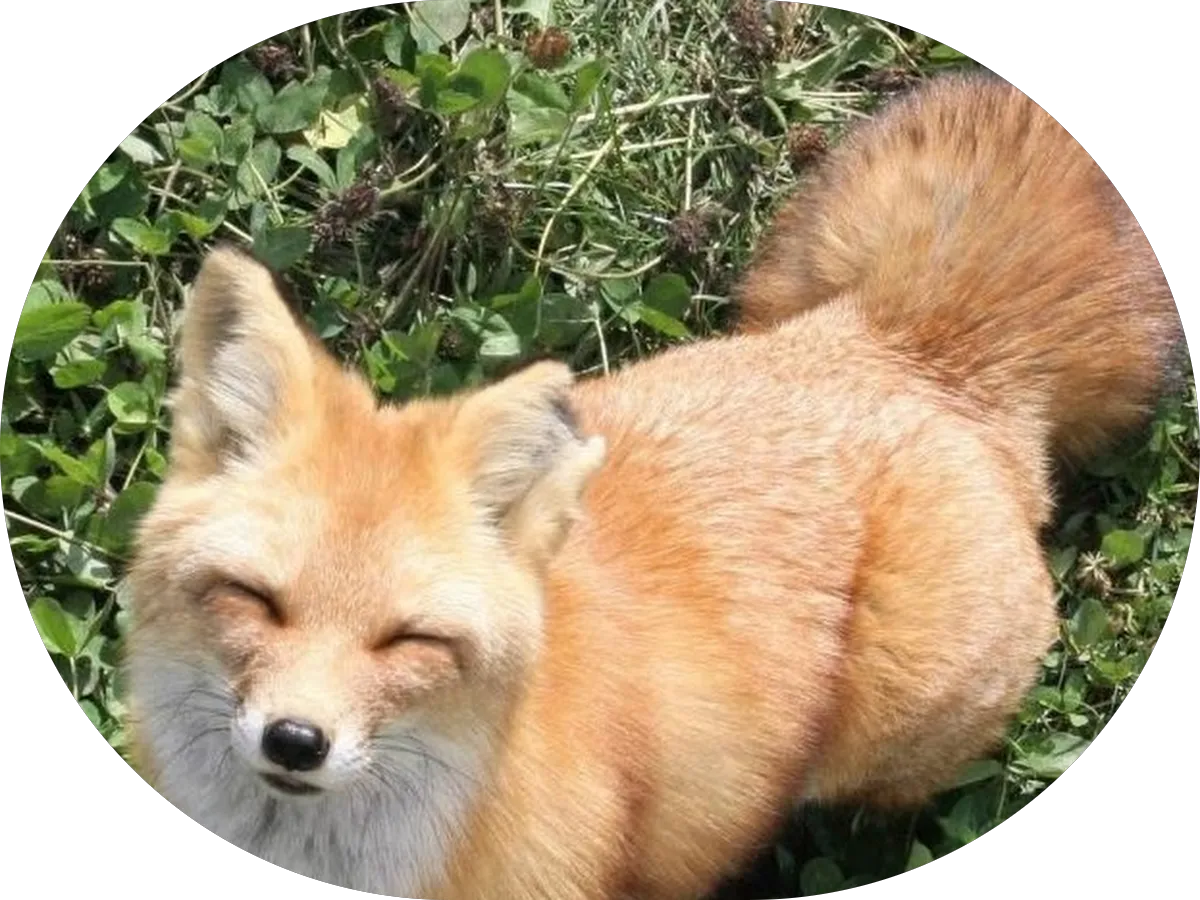 Myers Plumbing Co photo 2