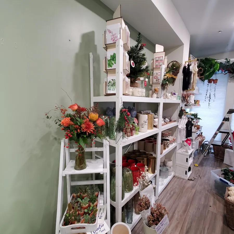 Myrtle & Magnolia photo 5