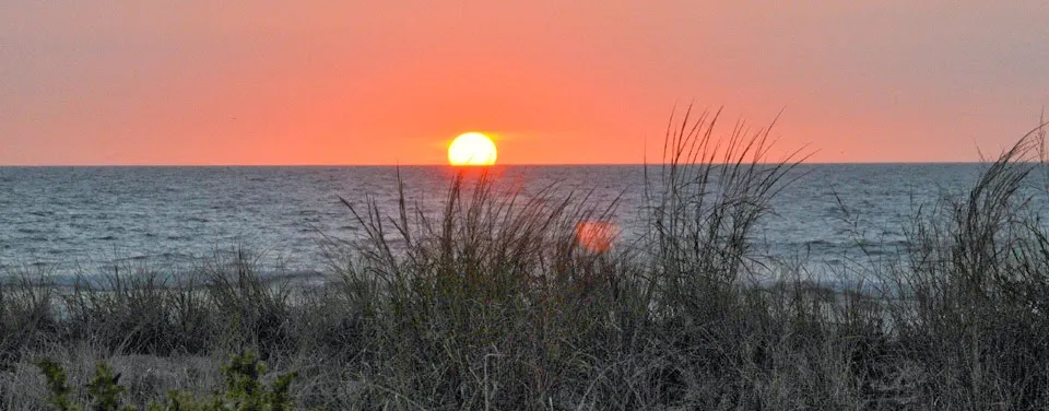 Nancy Alexander Realtor - Stone Harbor & Avalon NJ